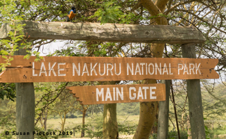 Lake Nakuru N.P.